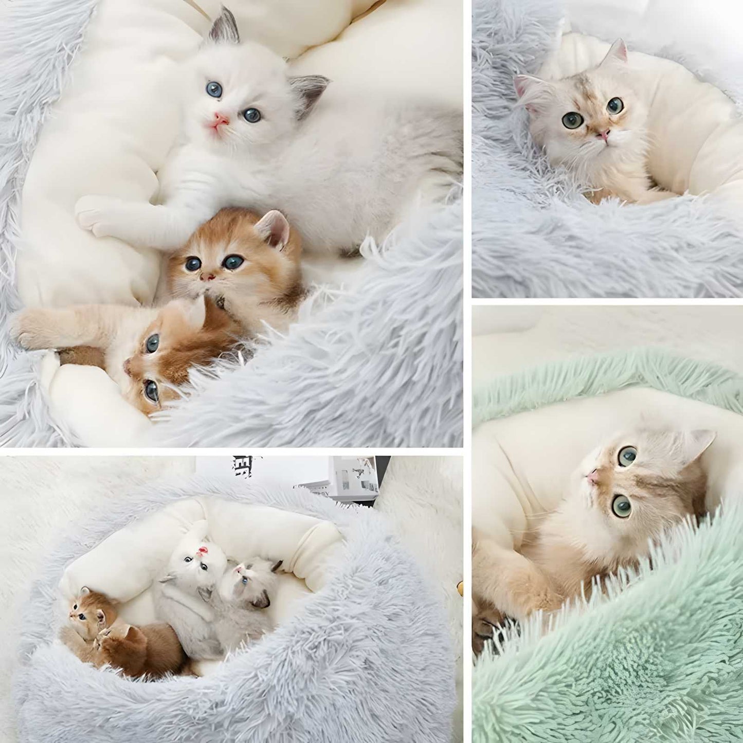 SoloPatra Winter Plush Pet Cat Bed