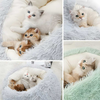 SoloPatra Winter Plush Pet Cat Bed