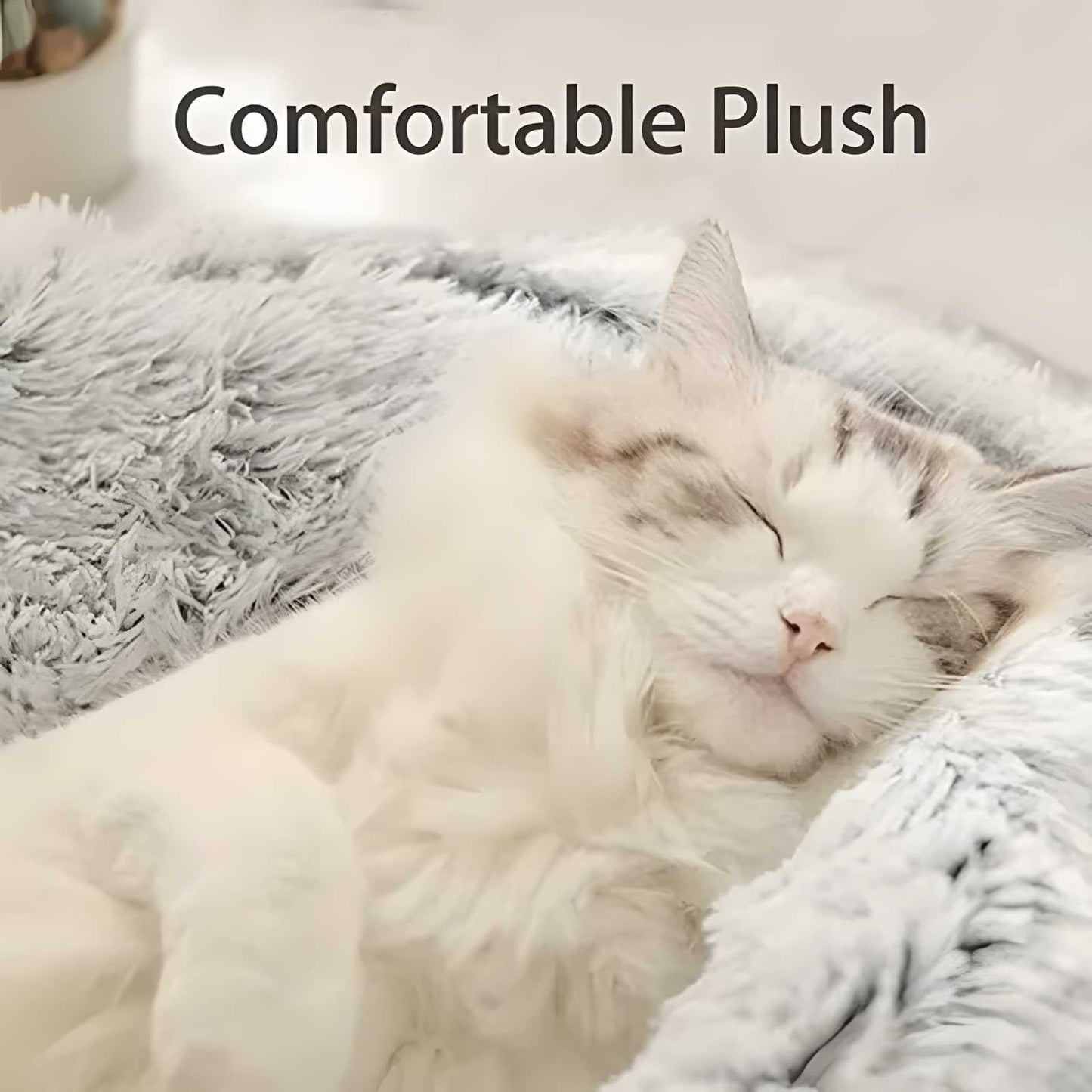 SoloPatra Winter Plush Pet Cat Bed